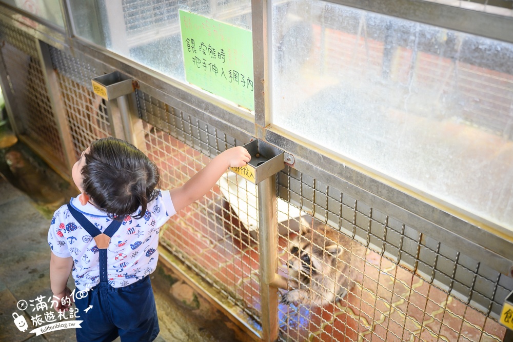 宜蘭【水鹿咖啡親子館】礁溪超狂親子餐廳,兒童遊戲區免費玩,農場餵動物,還能挑戰最新踩踩飛車!