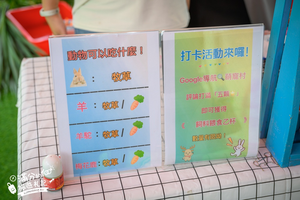 嘉義中埔【萌寵村親子樂園】嘉義最新親子農場,水豚.羊駝.梅花鹿陪你玩,還有超大放電遊戲場!
