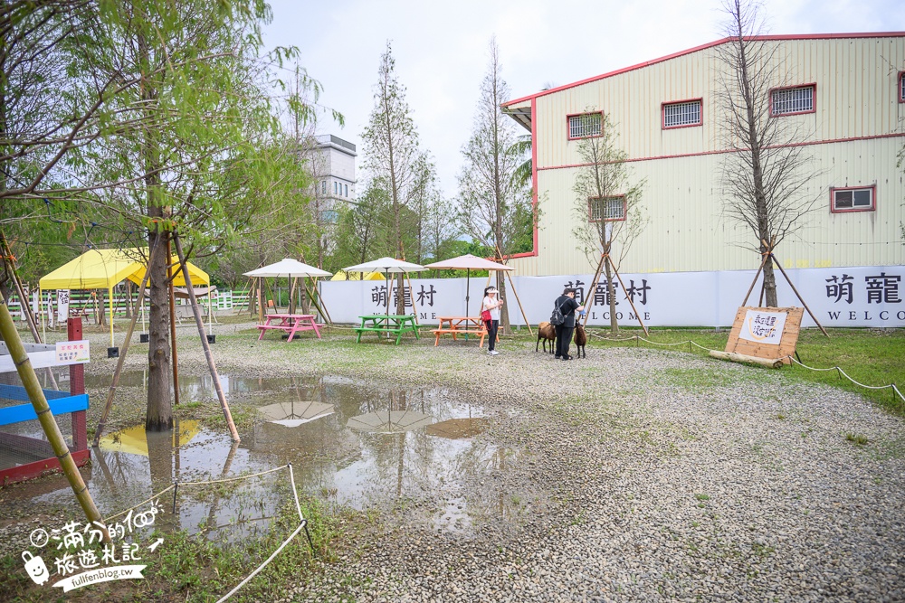 嘉義中埔【萌寵村親子樂園】嘉義最新親子農場,水豚.羊駝.梅花鹿陪你玩,還有超大放電遊戲場!