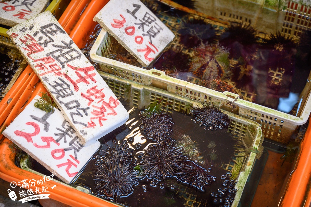 龜吼漁港必逛【龜吼漁夫市集】秋蟹季必吃萬里蟹,平價生魚片.代客料理海鮮,玩拍巨無霸螃蟹王!