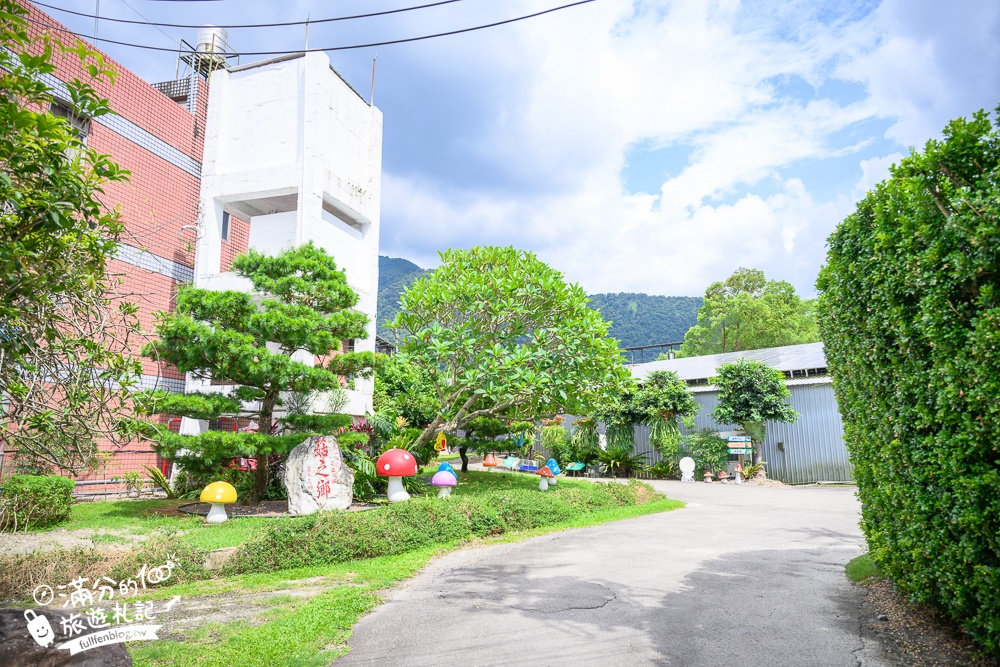 南投【豐年農場】埔里豐年靈芝菇類生態農場,免門票香菇主題休閒農場,體驗當菇農採菇.手作香菇披薩好好玩!