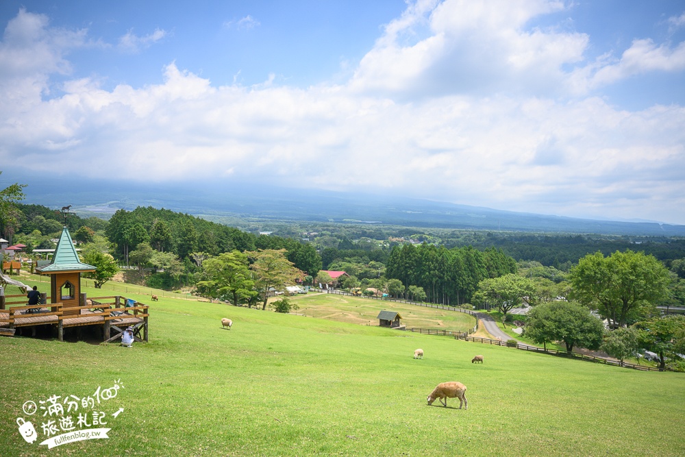 【馬飼野牧場一日遊攻略】富士山親子景點推薦,親子騎馬.餵羊.盪鞦韆看富士山.餵天鵝精彩路線就醬玩!