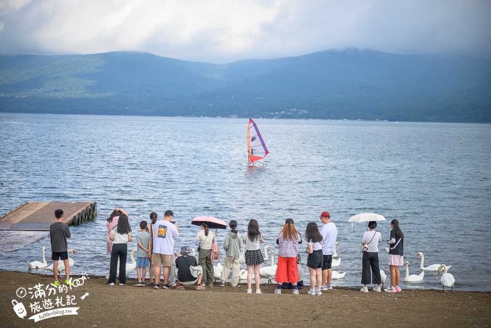【馬飼野牧場一日遊攻略】富士山親子景點推薦,親子騎馬.餵羊.盪鞦韆看富士山.餵天鵝精彩路線就醬玩!