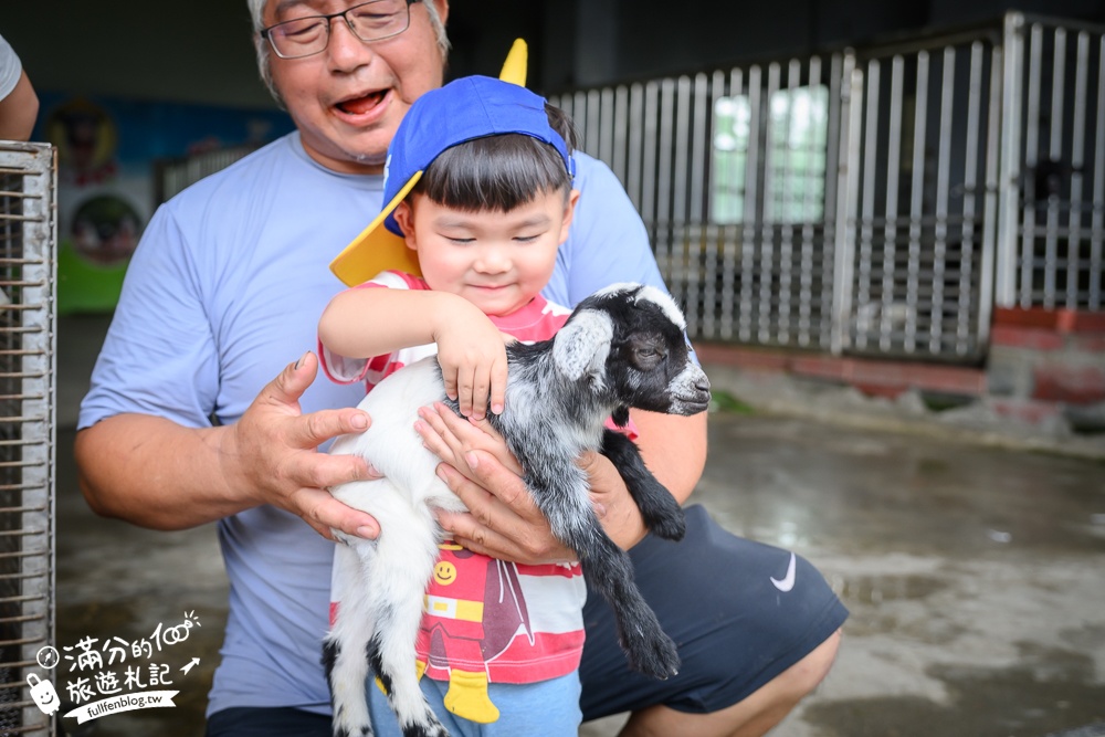 宜蘭農場推薦【心心農家樂】純樸農舍好好玩,超過20種可愛小動物,飼料免費供應輕鬆餵食互動!