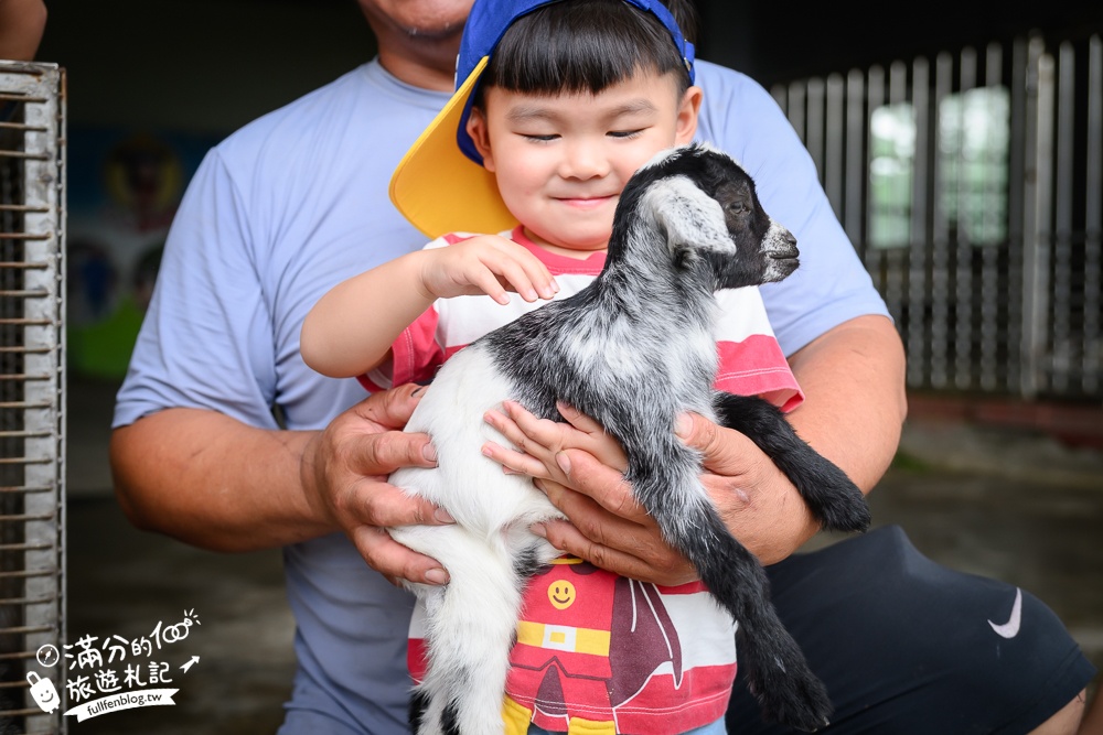 宜蘭農場推薦【心心農家樂】純樸農舍好好玩,超過20種可愛小動物,飼料免費供應輕鬆餵食互動!