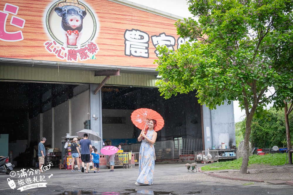 宜蘭農場推薦【心心農家樂】純樸農舍好好玩,超過20種可愛小動物,飼料免費供應輕鬆餵食互動!
