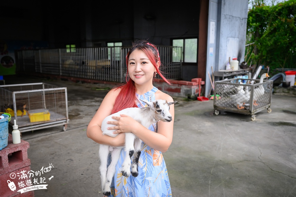 宜蘭農場推薦【心心農家樂】純樸農舍好好玩,超過20種可愛小動物,飼料免費供應輕鬆餵食互動!