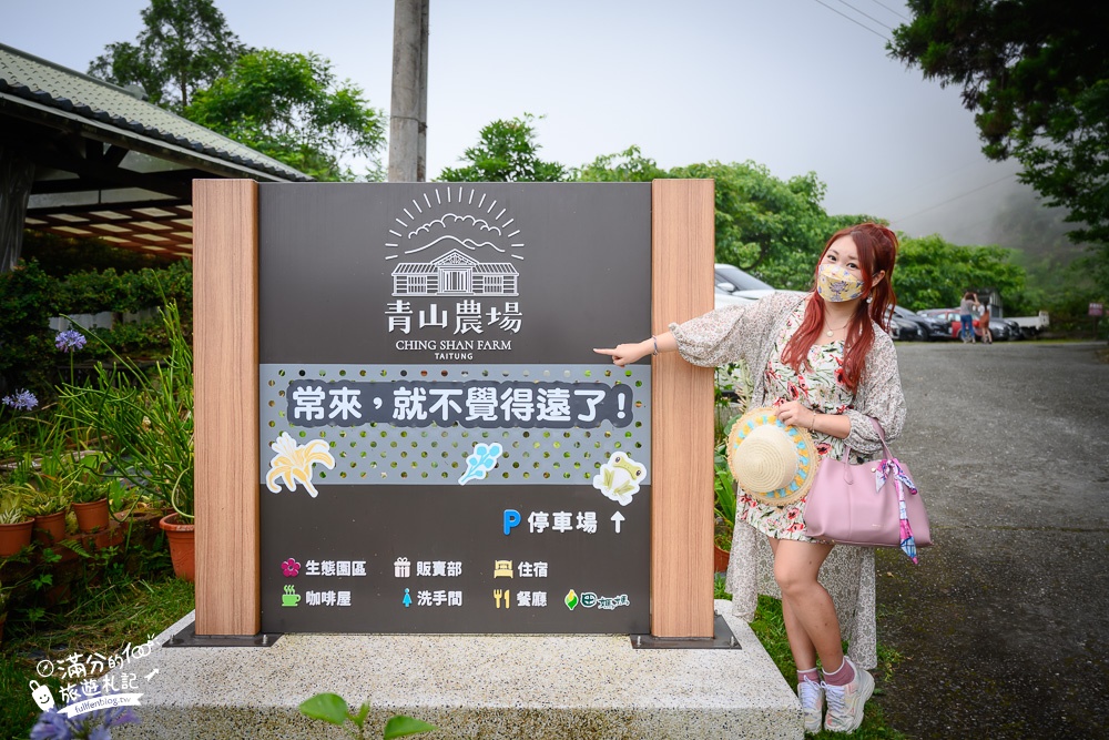【台東太麻里景點一日遊】TOP6太麻里景點推薦,多良觀光車站.灌籃高手平交道.金針山花海&千禧亭賞日出!