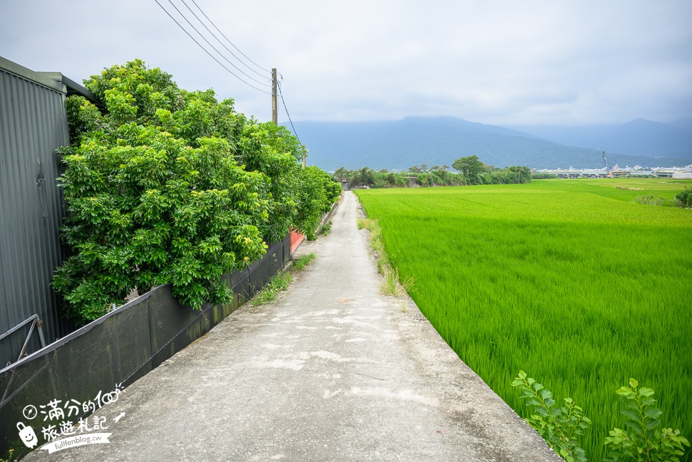 花蓮【歐亞板塊及菲律賓海板塊交界紀念碑】步行即達,世界唯一橫跨兩板塊的玉富自行車道,秀姑巒溪震撼的山水風光!