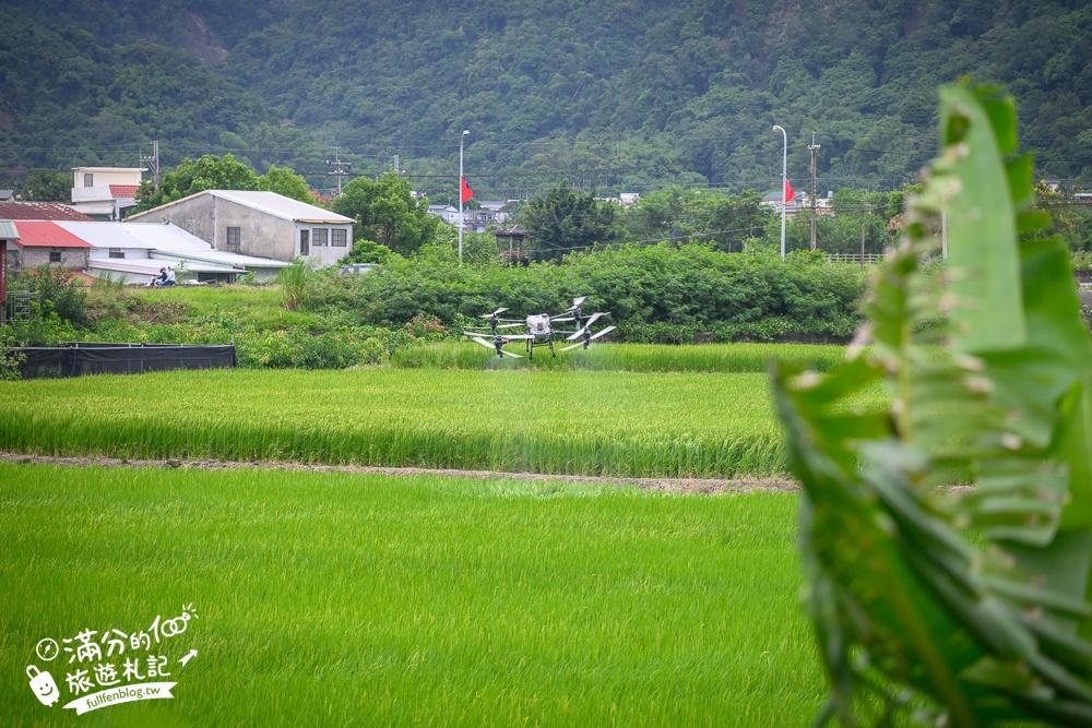 花蓮【歐亞板塊及菲律賓海板塊交界紀念碑】步行即達,世界唯一橫跨兩板塊的玉富自行車道,秀姑巒溪震撼的山水風光!