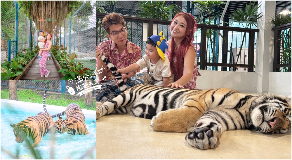 延伸閱讀：【芭達雅老虎園Tiger Park Pattaya】玩泰國芭達雅必體驗,與老虎的近距離接觸,親子同行也能與小老虎互動拍照唷!
