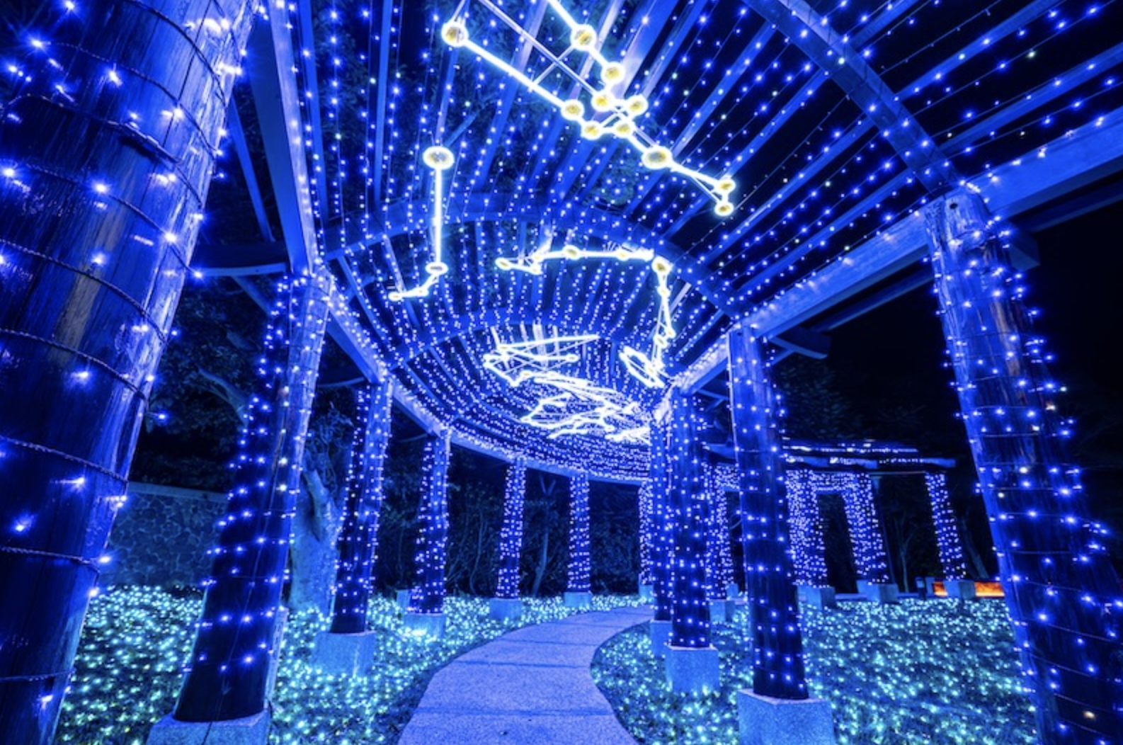 【2025四重溪溫泉季】四重溪溫泉公園玩樂攻略！夢幻燈飾和活動資訊.泡足湯.溫泉煮.賞燈海夢幻滿分!