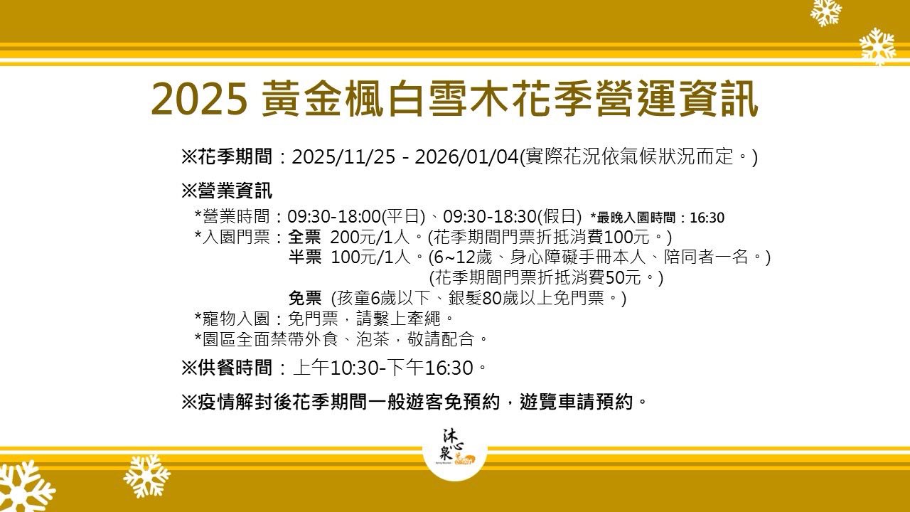 台中【沐心泉休閒農場】新社景觀餐廳.白雪木和黃金楓森林秘境,耶誕雪花瀑布超夢幻!