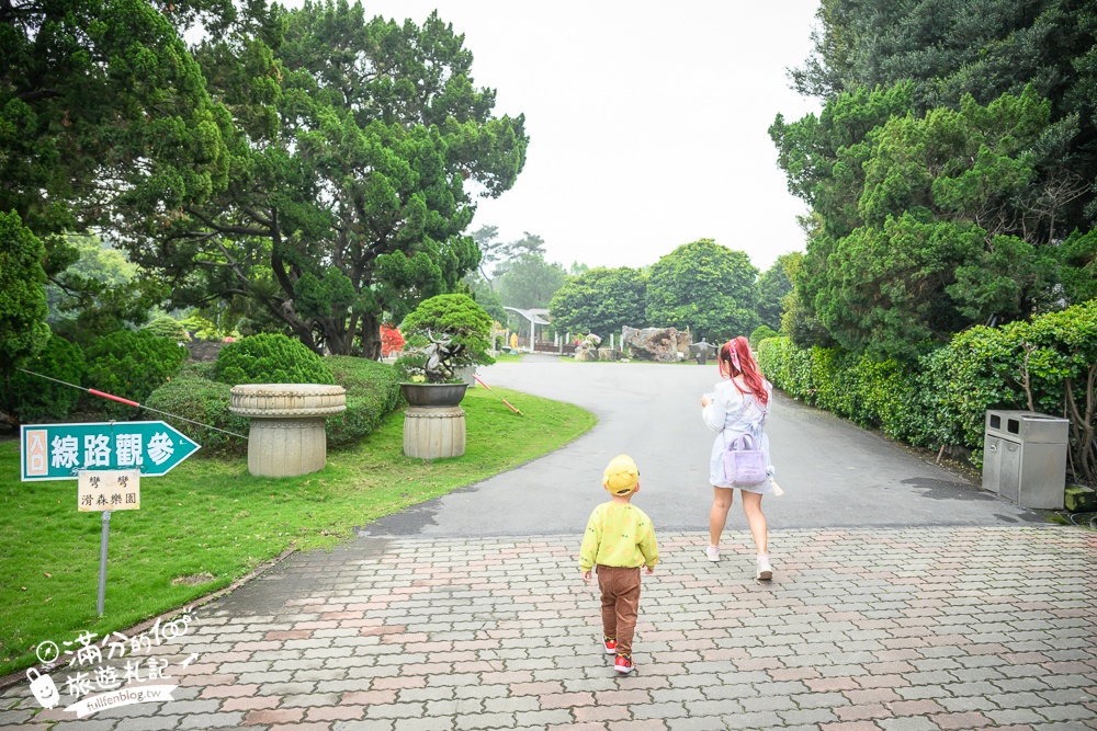 彰化【2025萬景藝苑玩樂攻略】宮殿級庭院結合「彎彎滑森樂園」,最新兒童遊戲區,還能餵水豚笑笑羊,親子同行也精彩!