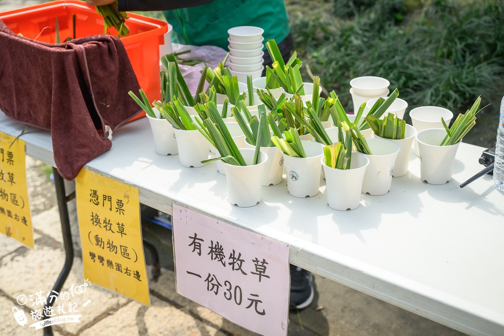 彰化【2025萬景藝苑玩樂攻略】宮殿級庭院結合「彎彎滑森樂園」,最新兒童遊戲區,還能餵水豚笑笑羊,親子同行也精彩!
