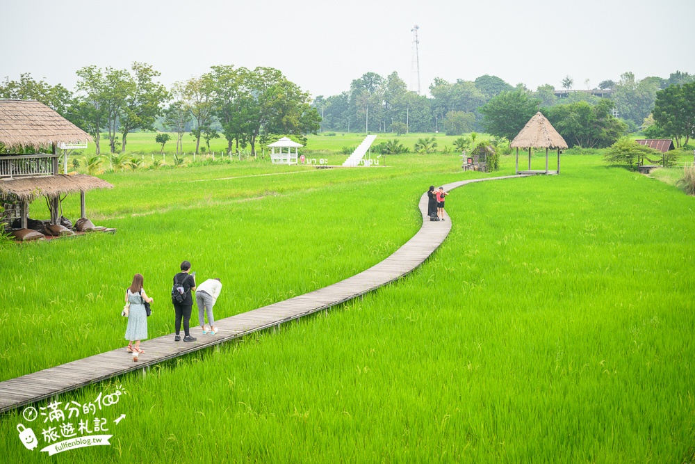 泰國北碧府【MEENA Cafe】北碧府網美咖啡館推薦,稻海步道太迷人,遠離喧囂還能眺望虎穴寺!