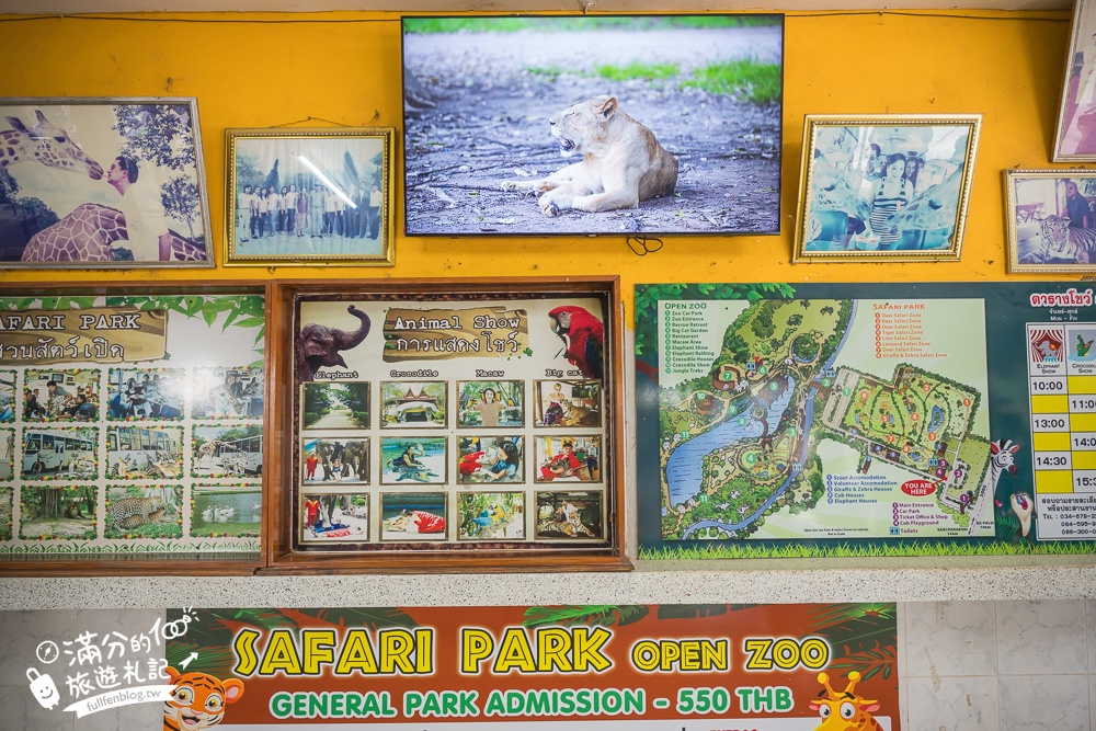 【北碧府野生動物園】泰國長頸鹿吉普車拍照預約攻略.Safari Park Kanchanaburi餵駱駝.梅花鹿和斑馬,外加欣賞大象&鱷魚表演秀!