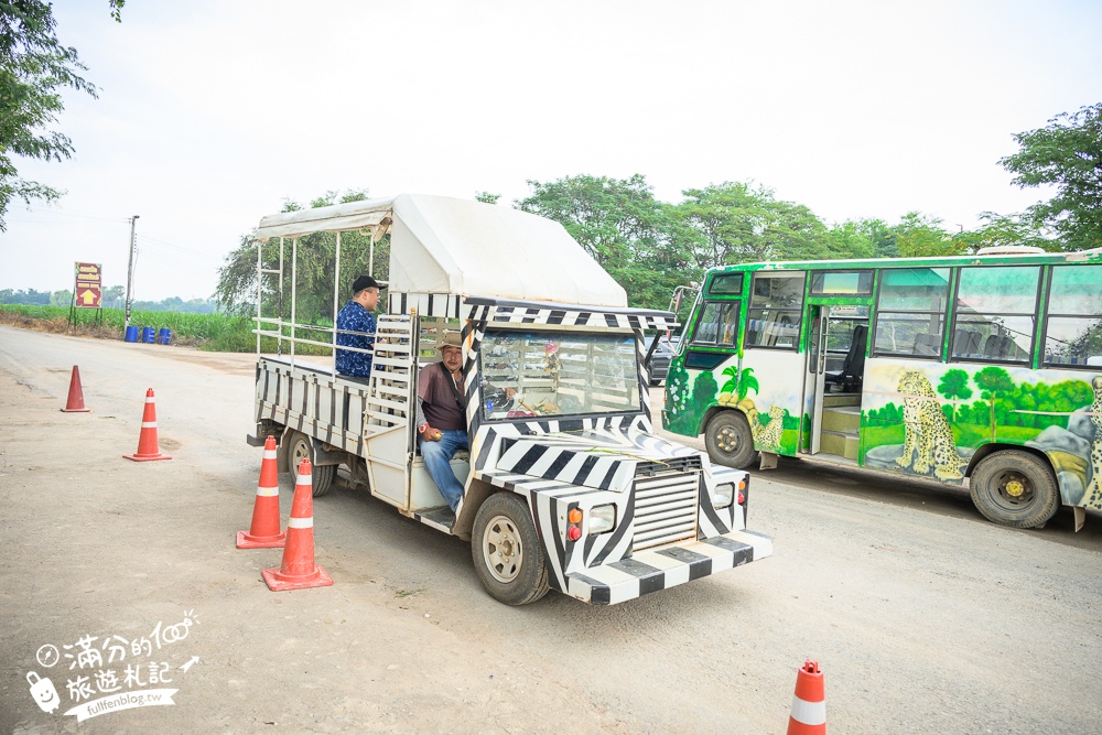【北碧府野生動物園】泰國長頸鹿吉普車拍照預約攻略.Safari Park Kanchanaburi餵駱駝.梅花鹿和斑馬,外加欣賞大象&鱷魚表演秀!