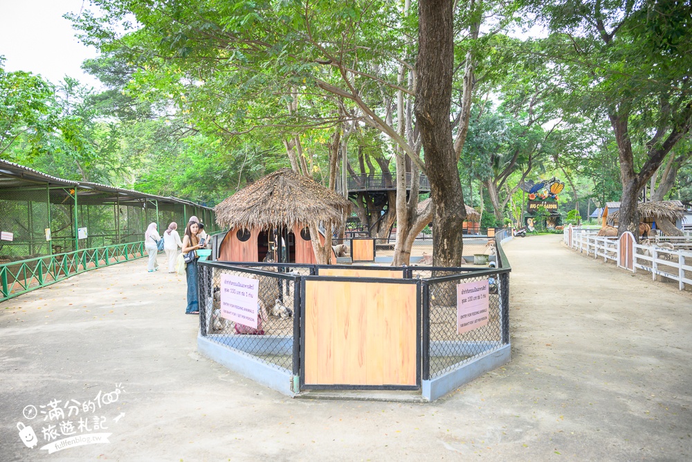 【北碧府野生動物園】泰國長頸鹿吉普車拍照預約攻略.Safari Park Kanchanaburi餵駱駝.梅花鹿和斑馬,外加欣賞大象&鱷魚表演秀!
