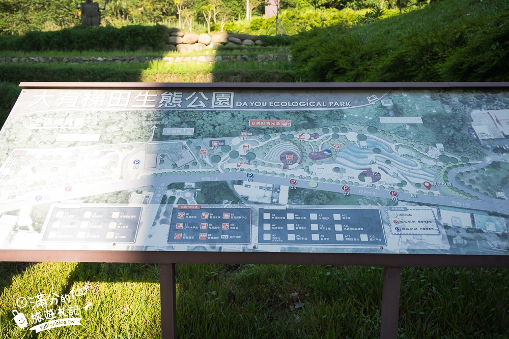 【大有梯田生態公園】桃園免門票親子景點,森林滑索開放時間.桃園最美梯田遊戲場!
