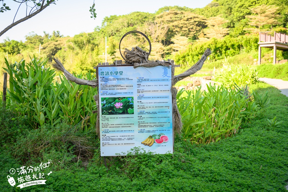 【大有梯田生態公園】桃園免門票親子景點,森林滑索開放時間.桃園最美梯田遊戲場!