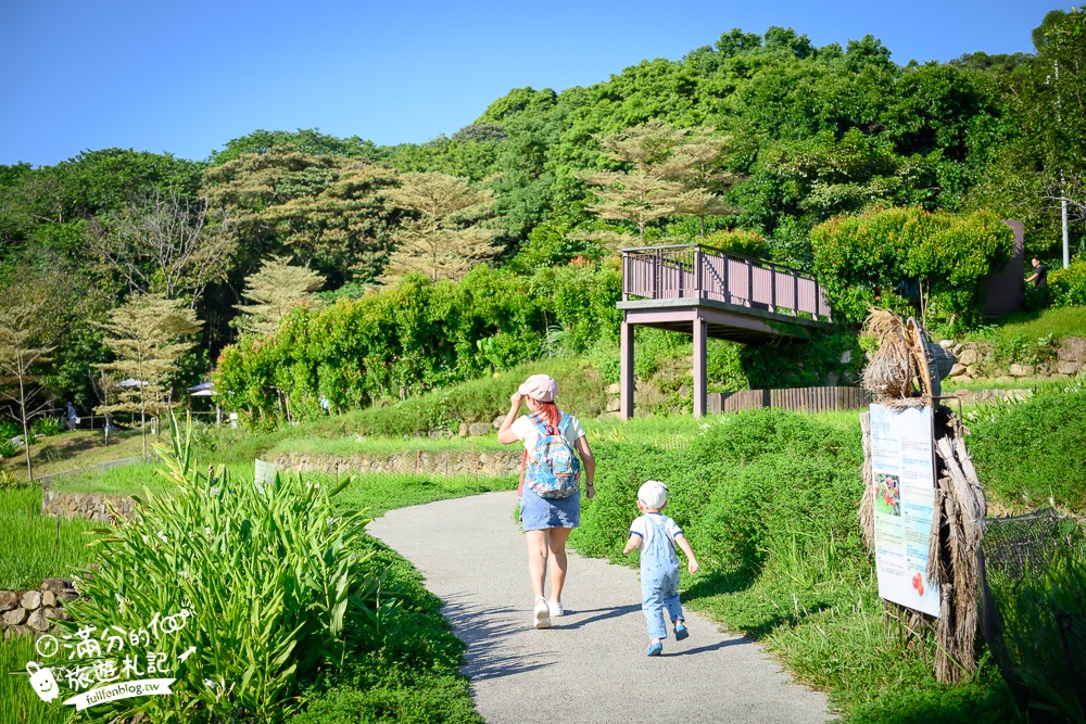 【大有梯田生態公園】桃園免門票親子景點,森林滑索開放時間.桃園最美梯田遊戲場!