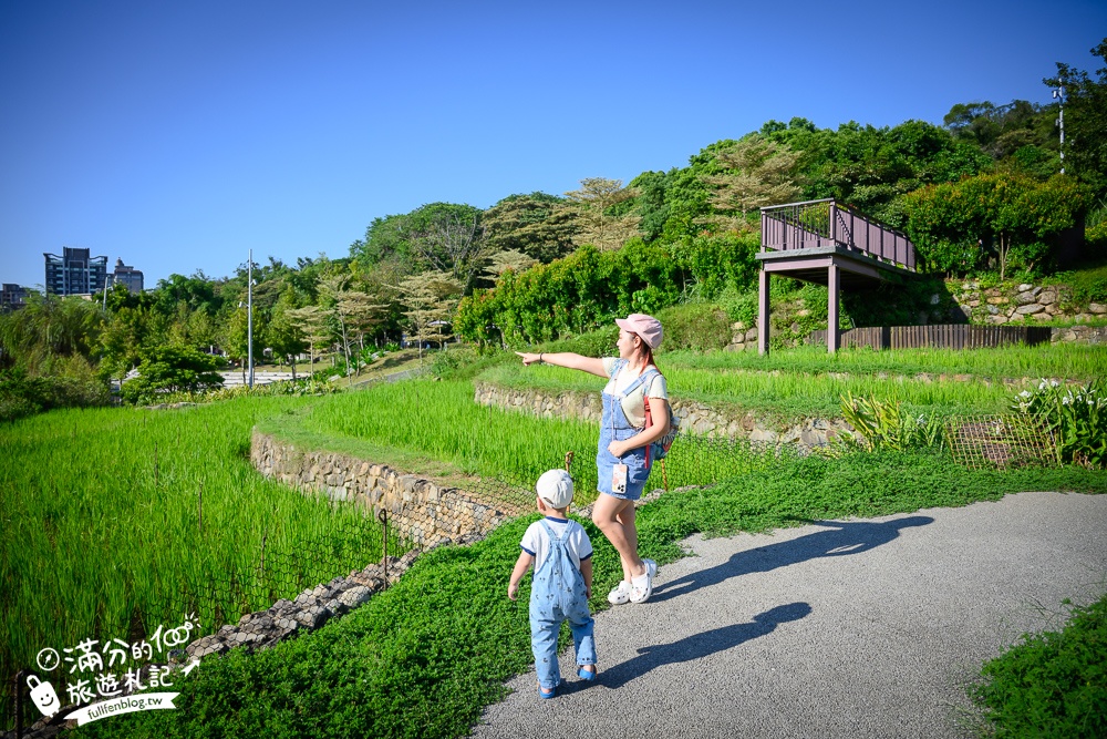 【大有梯田生態公園】桃園免門票親子景點,森林滑索開放時間.桃園最美梯田遊戲場!