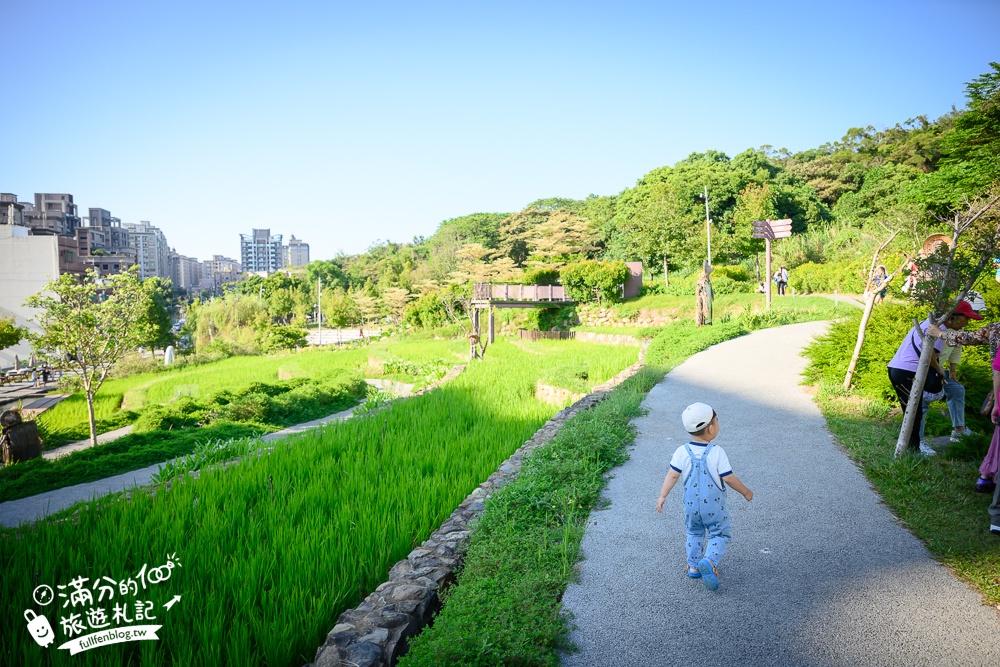 【大有梯田生態公園】桃園免門票親子景點,森林滑索開放時間.桃園最美梯田遊戲場!