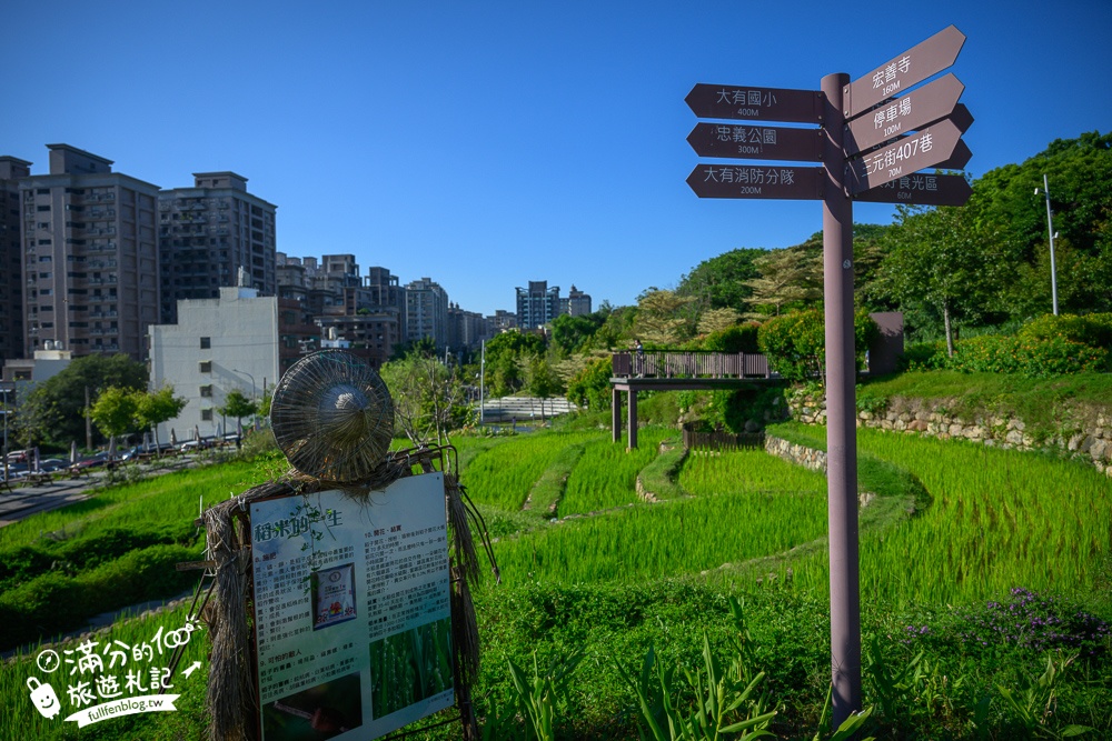 【大有梯田生態公園】桃園免門票親子景點,森林滑索開放時間.桃園最美梯田遊戲場!
