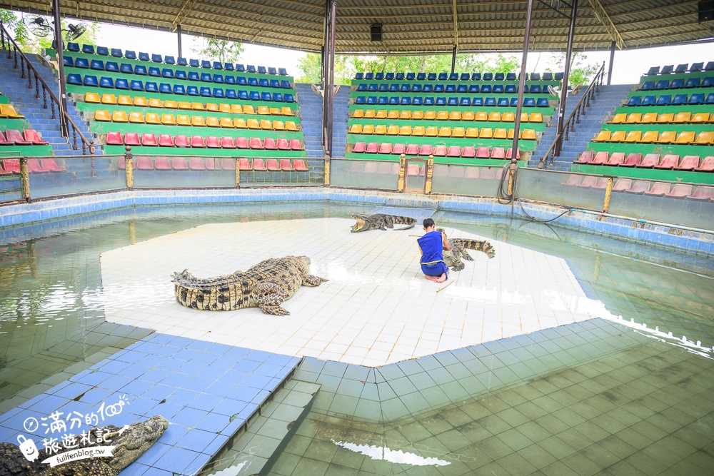 【北碧府野生動物園】泰國長頸鹿吉普車拍照預約攻略.Safari Park Kanchanaburi餵駱駝.梅花鹿和斑馬,外加欣賞大象&鱷魚表演秀!
