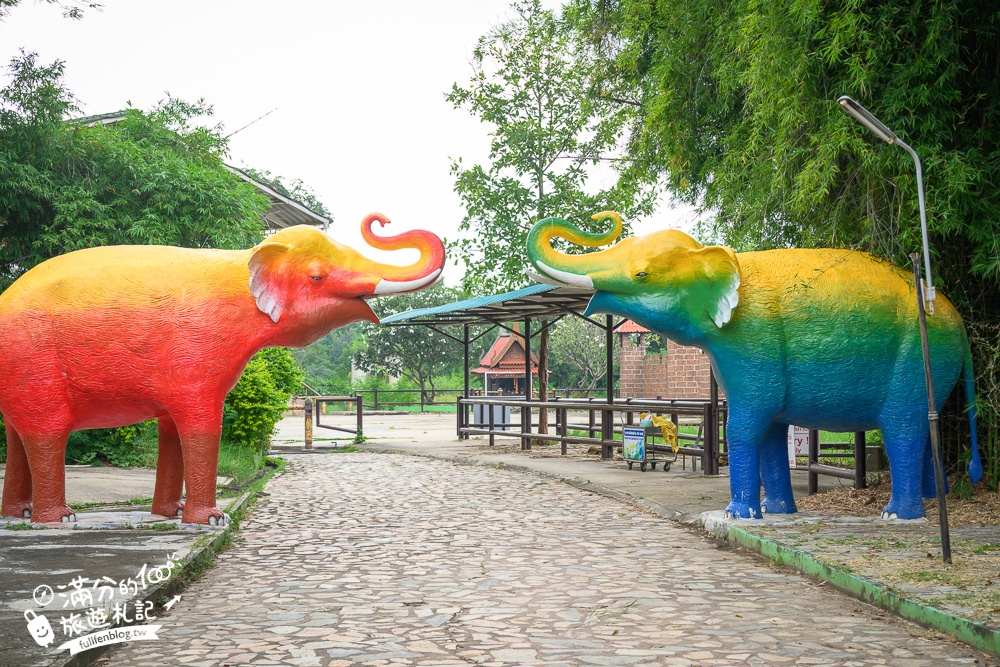 【北碧府野生動物園】泰國長頸鹿吉普車拍照預約攻略.Safari Park Kanchanaburi餵駱駝.梅花鹿和斑馬,外加欣賞大象&鱷魚表演秀!
