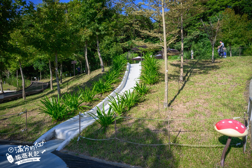 【大有梯田生態公園】桃園免門票親子景點,森林滑索開放時間.桃園最美梯田遊戲場!