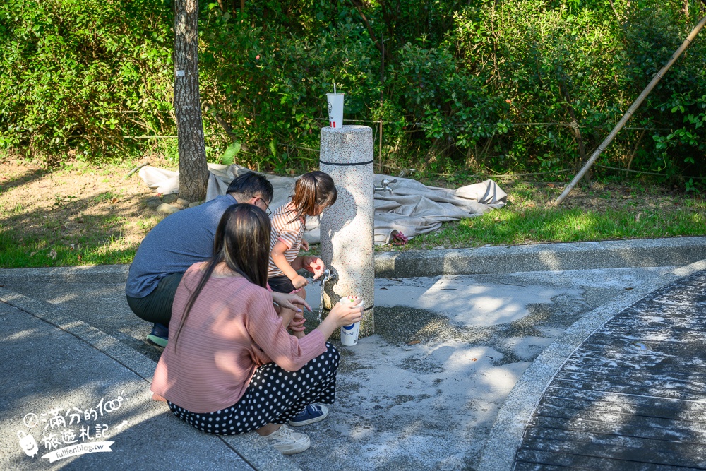 【大有梯田生態公園】桃園免門票親子景點,森林滑索開放時間.桃園最美梯田遊戲場!