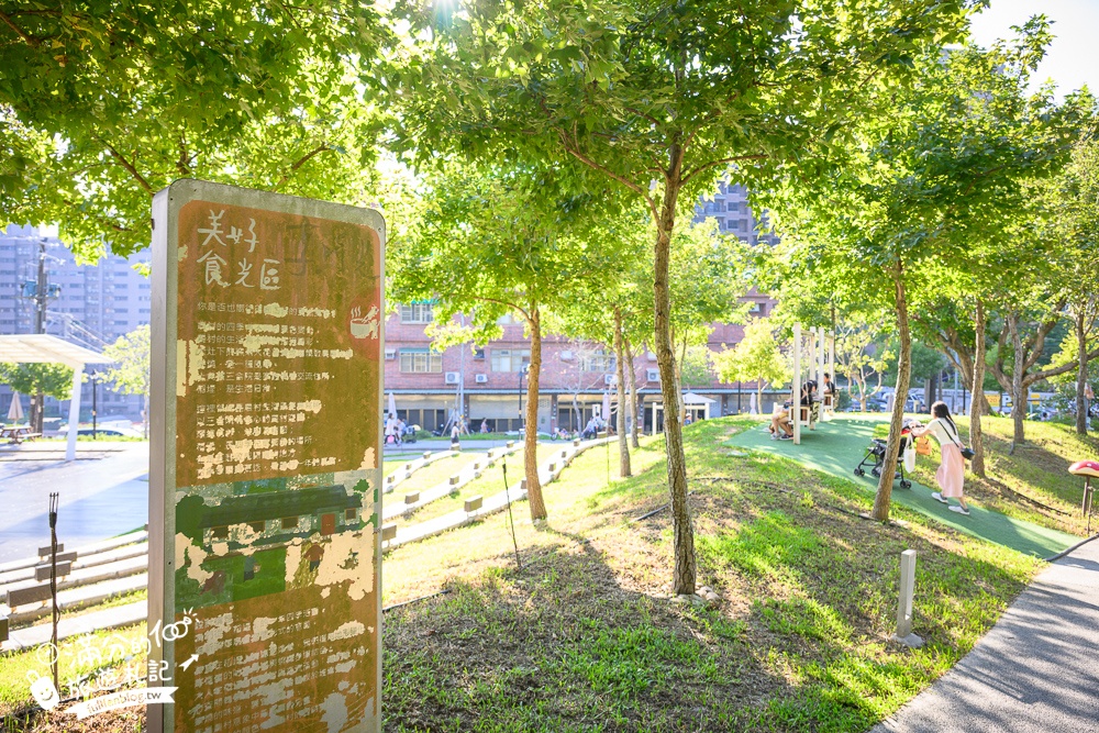 【大有梯田生態公園】桃園免門票親子景點,森林滑索開放時間.桃園最美梯田遊戲場!