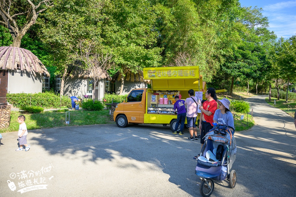 【大有梯田生態公園】桃園免門票親子景點,森林滑索開放時間.桃園最美梯田遊戲場!