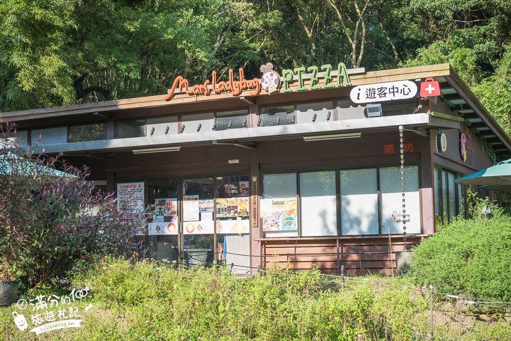 【大有梯田生態公園】桃園免門票親子景點,森林滑索開放時間.桃園最美梯田遊戲場!