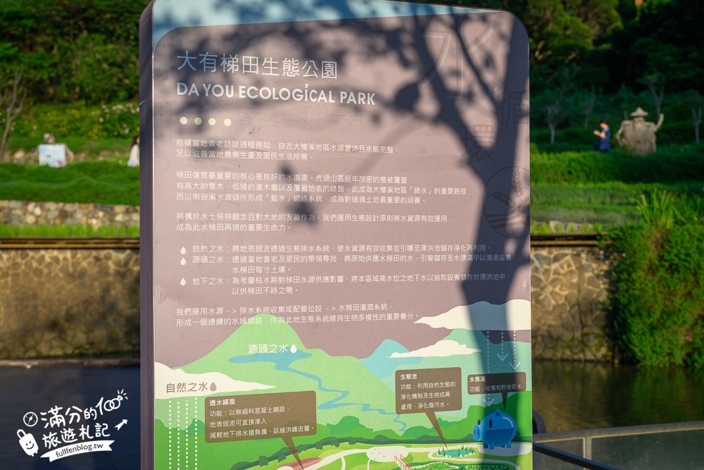 【大有梯田生態公園】桃園免門票親子景點,森林滑索開放時間.桃園最美梯田遊戲場!