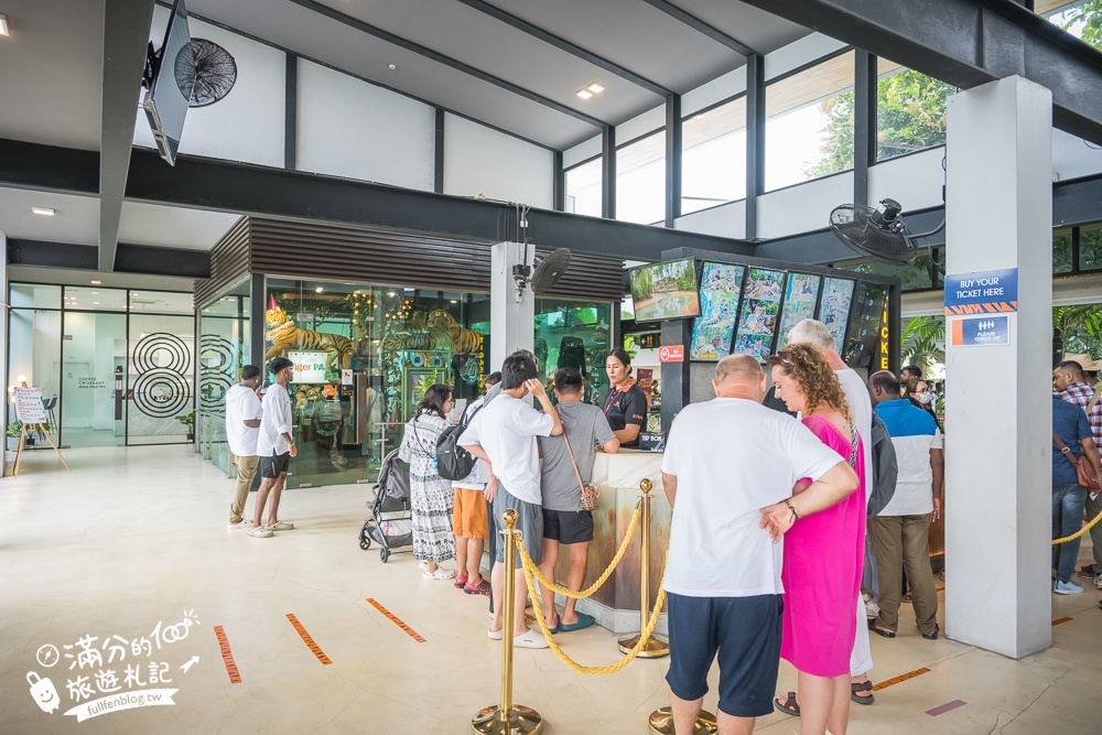 【芭達雅老虎園Tiger Park Pattaya】玩泰國芭達雅必體驗,與老虎的近距離接觸,親子同行也能與小老虎互動拍照唷!