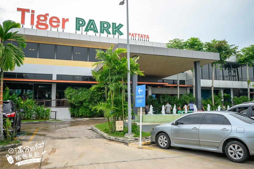 【芭達雅老虎園Tiger Park Pattaya】玩泰國芭達雅必體驗,與老虎的近距離接觸,親子同行也能與小老虎互動拍照唷!