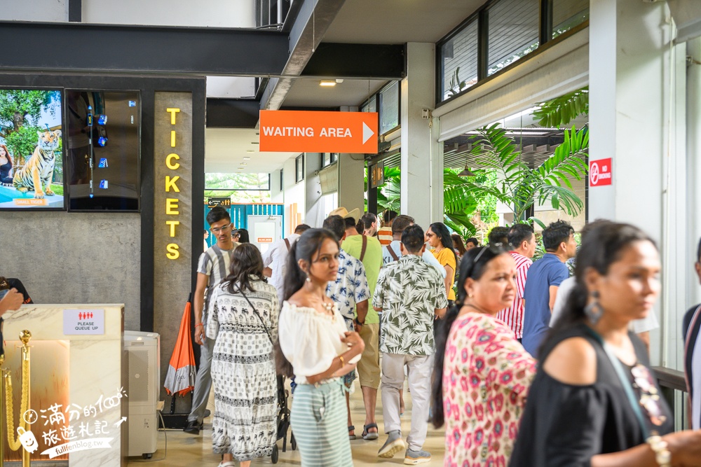 【芭達雅老虎園Tiger Park Pattaya】玩泰國芭達雅必體驗,與老虎的近距離接觸,親子同行也能與小老虎互動拍照唷!