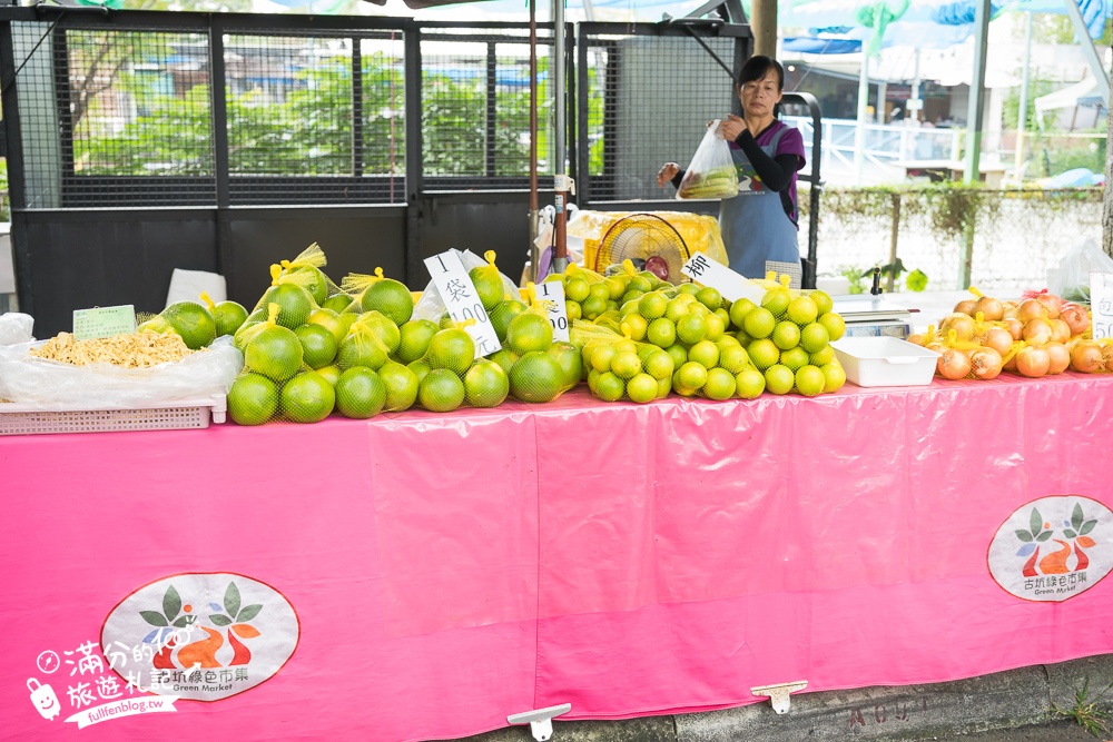 雲林【古坑綠色隧道】最新鵝媽媽鵝童驛站超可愛,順遊假日綠色隧道市集好吃好逛又好玩!