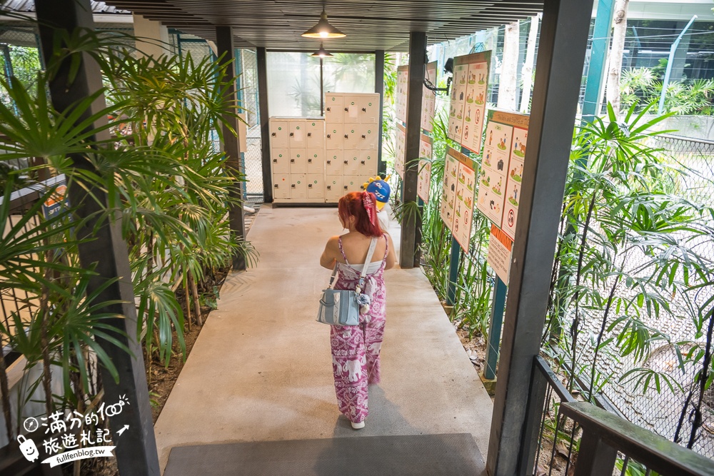 【芭達雅老虎園Tiger Park Pattaya】玩泰國芭達雅必體驗,與老虎的近距離接觸,親子同行也能與小老虎互動拍照唷!