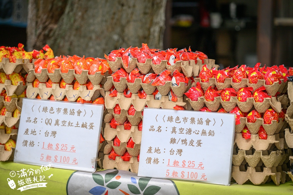雲林【古坑綠色隧道】最新鵝媽媽鵝童驛站超可愛,順遊假日綠色隧道市集好吃好逛又好玩!