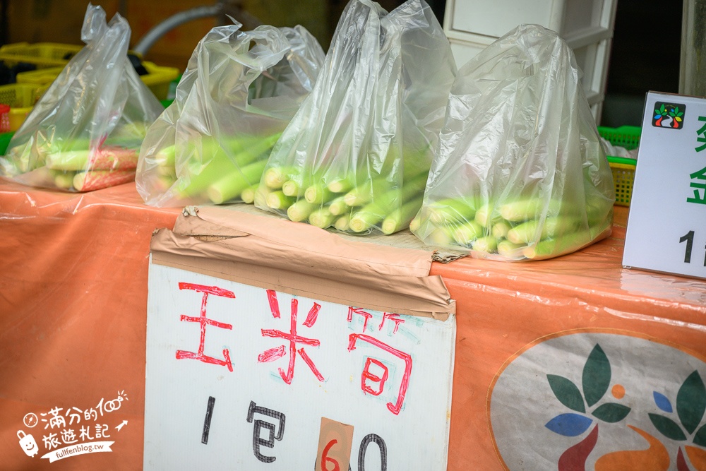 雲林【古坑綠色隧道】最新鵝媽媽鵝童驛站超可愛,順遊假日綠色隧道市集好吃好逛又好玩!