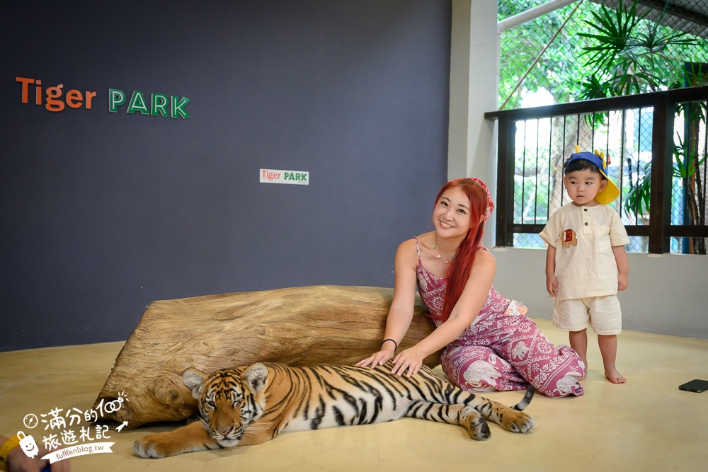 【芭達雅老虎園Tiger Park Pattaya】玩泰國芭達雅必體驗,與老虎的近距離接觸,親子同行也能與小老虎互動拍照唷!
