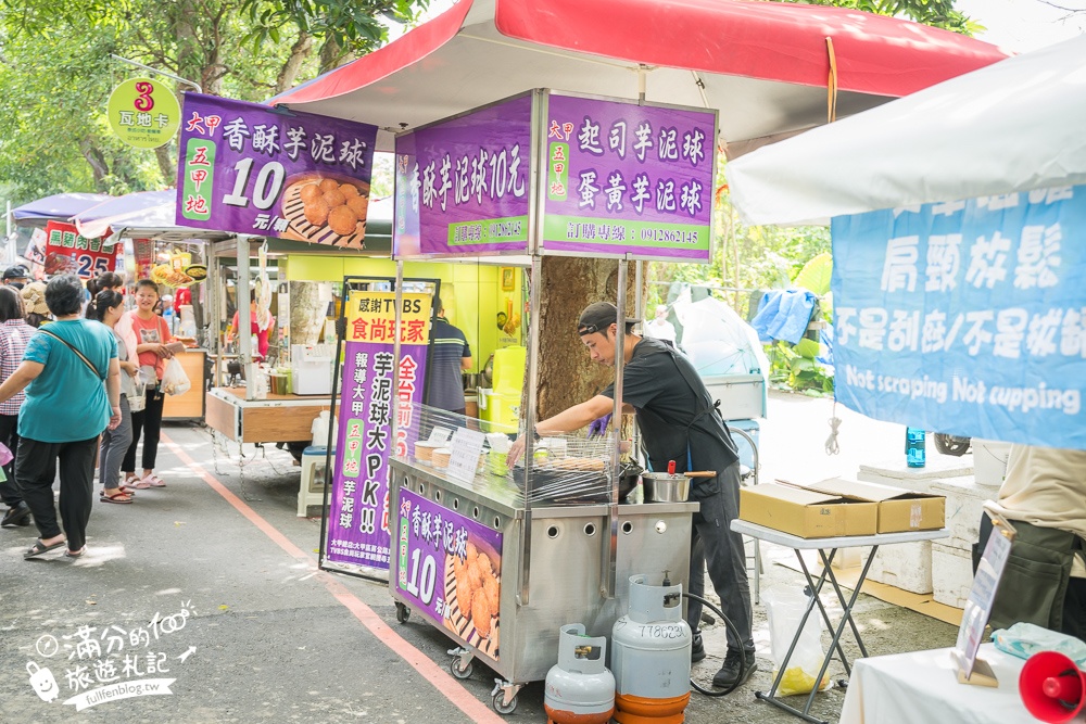 雲林【古坑綠色隧道】最新鵝媽媽鵝童驛站超可愛,順遊假日綠色隧道市集好吃好逛又好玩!