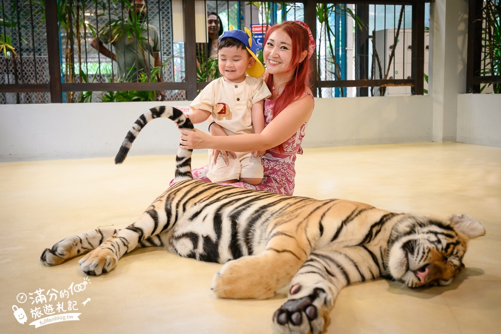 【芭達雅老虎園Tiger Park Pattaya】玩泰國芭達雅必體驗,與老虎的近距離接觸,親子同行也能與小老虎互動拍照唷!