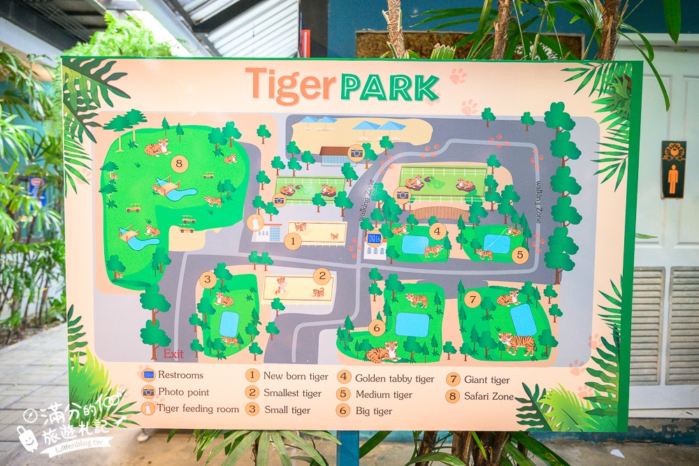 【芭達雅老虎園Tiger Park Pattaya】玩泰國芭達雅必體驗,與老虎的近距離接觸,親子同行也能與小老虎互動拍照唷!