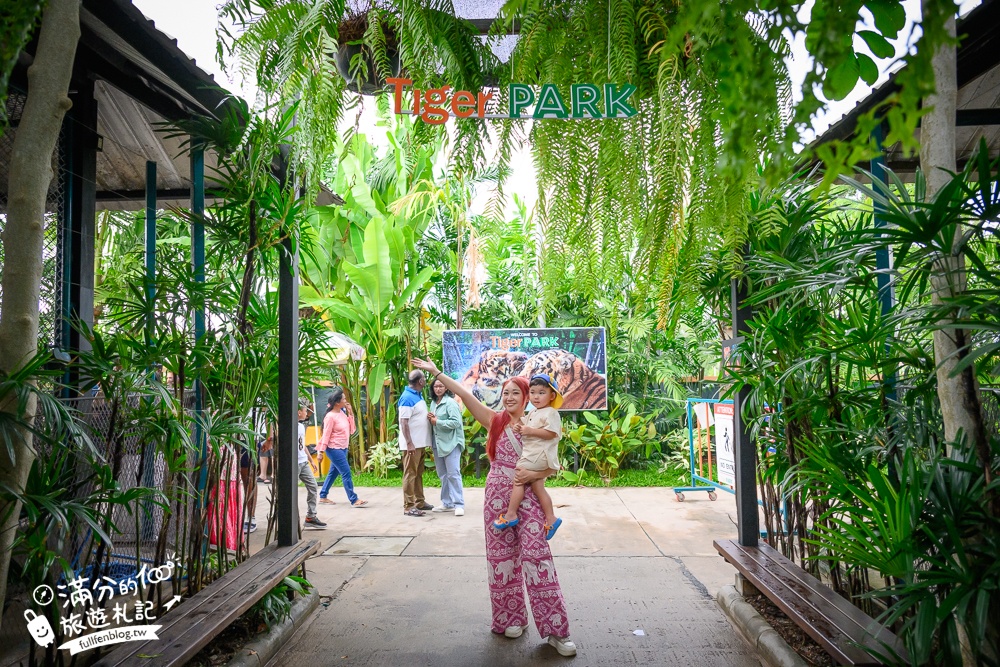 【芭達雅老虎園Tiger Park Pattaya】玩泰國芭達雅必體驗,與老虎的近距離接觸,親子同行也能與小老虎互動拍照唷!