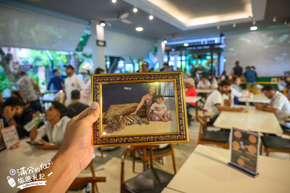 【芭達雅老虎園Tiger Park Pattaya】玩泰國芭達雅必體驗,與老虎的近距離接觸,親子同行也能與小老虎互動拍照唷!